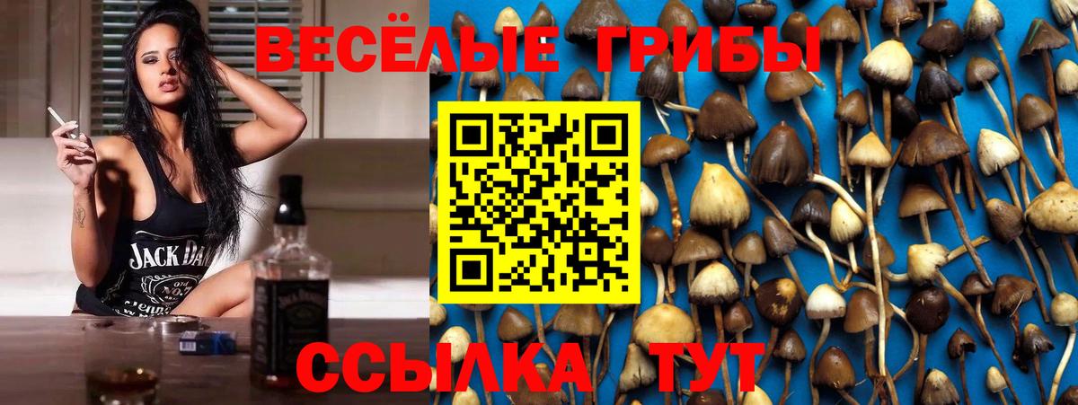 Псилоцибиновые грибы мухоморы Калининград